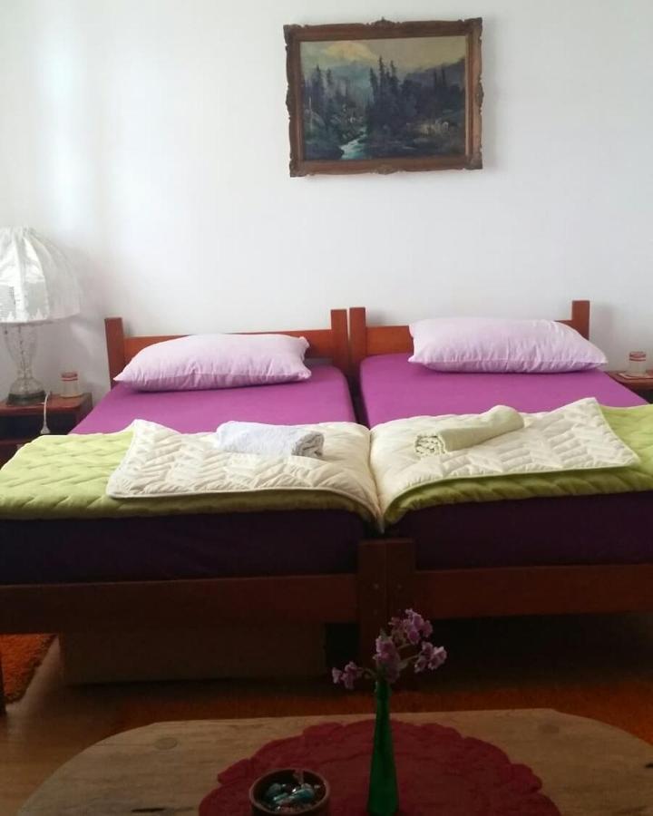 B&B Jonovic Donji Milanovac Eksteriør billede