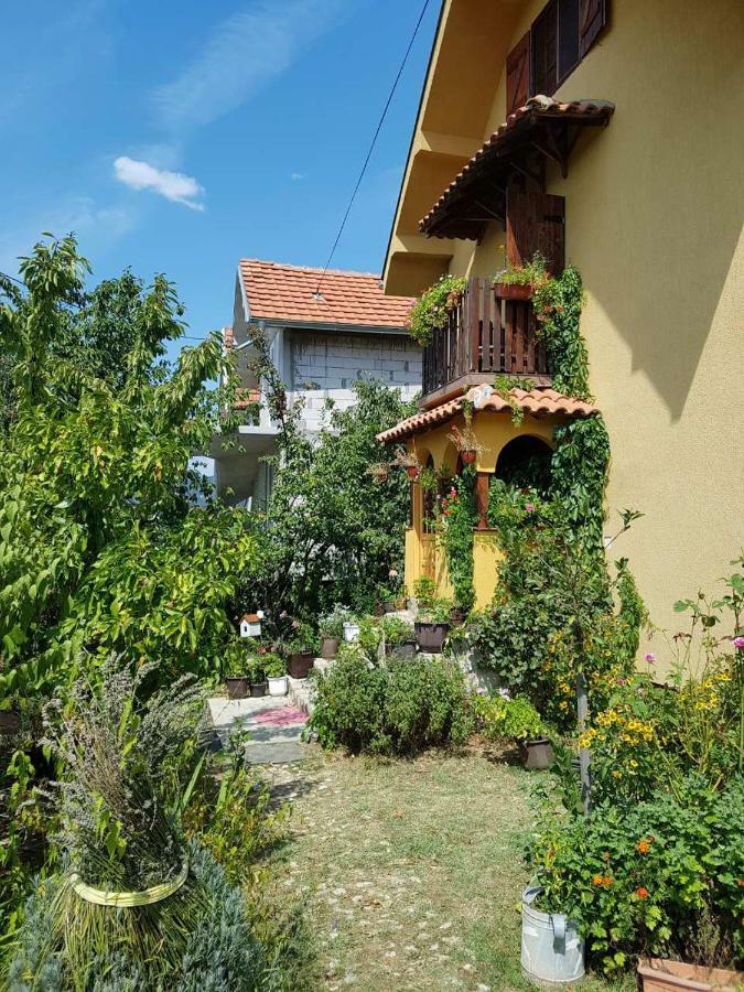 B&B Jonovic Donji Milanovac Eksteriør billede